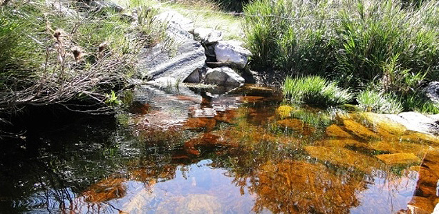 Imagem antiga da nascente do rio So Francisco, no Parque Nacional da Serra da Canastra, no sudoeste de Minas Gerais
