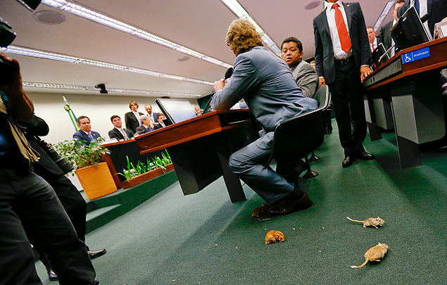 Ratos foram soltos no início da sessão da CPI da Petrobras que ouve o tesoureiro do PT