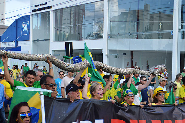 Jararaca gigante levada por manifestantes em Cascavel (PR)