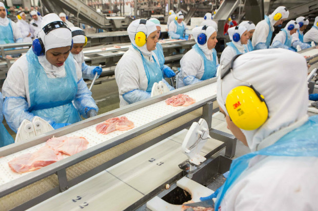 TOPSHOT - People work at a production line of the JBS-Friboi chicken processing plant during an inspection visit from Brazilian Agriculture Minister Blairo Maggi and technicians of the ministry in Lapa, Parana State, Brazil on March 21, 2017. Brazil, the world's biggest beef and poultry exporter, has been hit by stomach-churning allegations of corrupt practices in its meat industry. Police have halted exports by 21 meat processers suspected of bribing inspectors to issue them bogus health certificates for rotten meat. / AFP PHOTO / RODRIGO FONSECA ORG XMIT: ESA027