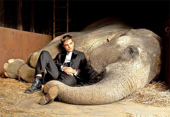 O ator Robert Pattinson e o elefante Tai em "Água para Elefantes"