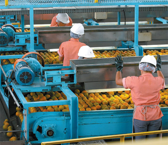 Produção de suco de laranja em Araraquara (SP); produto é considerado básico pela OMC