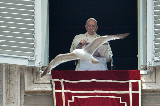 Gaivota voa durante orao do Angelus celebrada pelo papa Francisco na Praa de So Pedro, no Vaticano