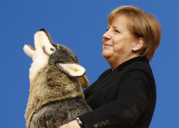 Legenda:German Chancellor Angela Merkel holds a toy wolf she got as a present during a party convention of the Christian Democrats (CDU) in Karlsruhe, Germany, Monday, Dec. 14, 2015. Merkel faces a congress of her conservative party amid tensions over her management of the migrant influx. ( AP Photo/Michael Probst) ORG XMIT: PKAR110