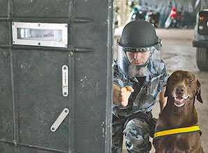 Soldado Romero e o cão Brown fazem demonstração de como verificar uma mala com suspeita de conter explosivos