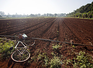 Imagem do terreno arado na fazenda orgnica Santa Madalena, que fica em Cordeirpolis, no de So Paulo