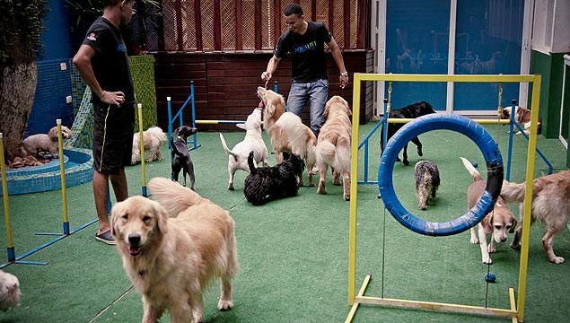 Aqua Life Pet Resort tem instalações amplas, modernas e bem decoradas