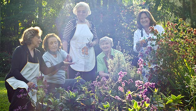 Da esq. à dir.: Priscila Bastos, 78, Alayde Seadon, Patricia Sumner, 80, Gillian Govier, 73, e Regina Bichuetti, 62