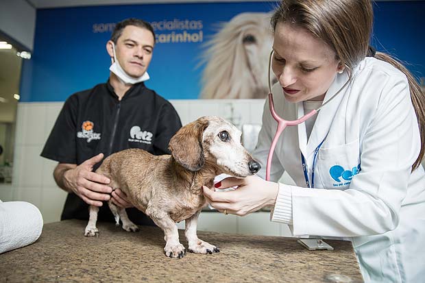 A cadela Jade  examinada pela Dra. Karina, na loja Petz na Santa Ceclia, que agora oferece banho com acompanhamento veterinrio para cachorros doentes ou velhinhos
