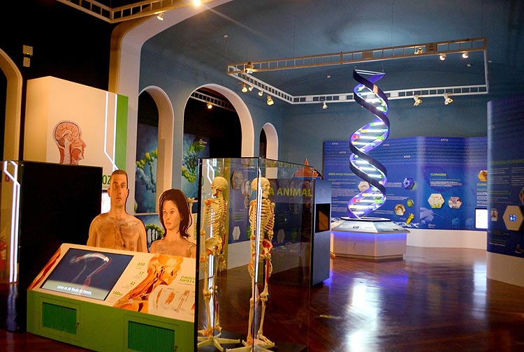 Sala DNA  novidade no museu Catavento