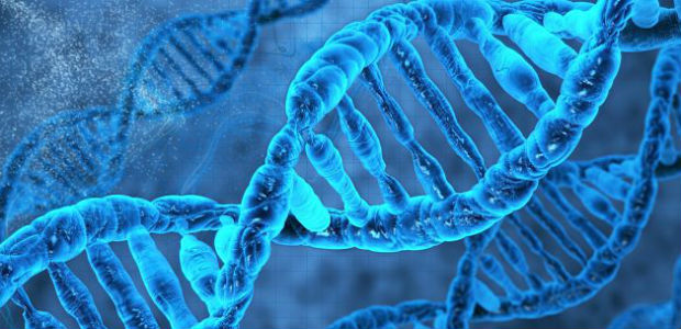 Crispr, técnica de edição do DNA que promete mudar o mundo