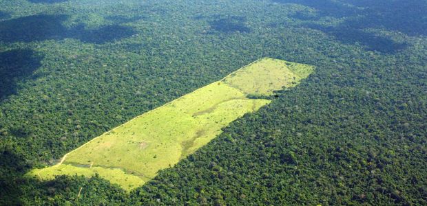 ORG XMIT: 405201_1.tif rea desmatada em Moraes Almeida, no Par, regio da BR-163. As fronteiras da devastao na Amaznia esto se ampliando para alm do arco do desmatamento. Segundo um levantamento indito do Imazon (Instituto do Homem e Meio Ambiente da Amaznia) obtido pelo jornal Folha de S.Paulo, pelo menos 15% da perda de cobertura florestal de 2001 a 2003 ocorreu numa faixa de 3.000 km que vai da Terra do Meio, no Par, a Lbrea, sudoeste do Amazonas. (Moraes Almeida, PA, 17.05.2005. Foto de Ayrton Vignola/Folhapress. Digital)