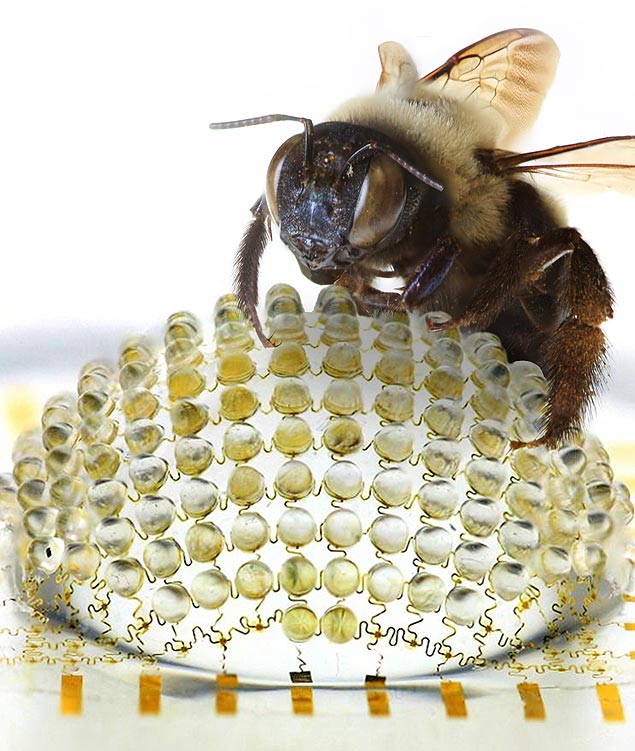 Imagem de divulgao da cmera criada por John A. Rodges, da Universidade de Illinois: viso 180 graus como a de uma mosca