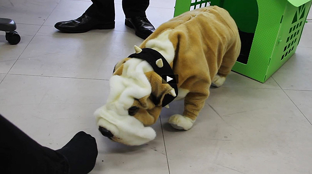 Shuntaro, cachorro robtico que reconhece mau cheiro dos ps