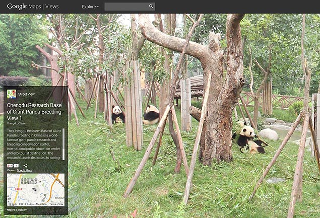 Google Street View agora permite tour virtual pela Base de Pesquisa de Reproduo do Panda Gigante em Chengdu, na China