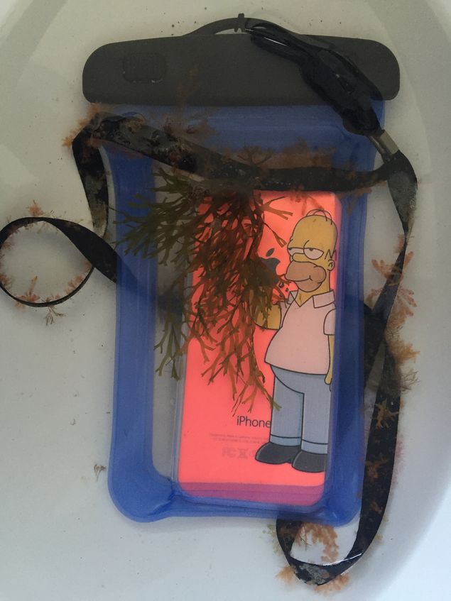 iPhone 5  encontrado dentro de bolsa de proteo no fundo do mar; o telefone ficou 142 dias submerso