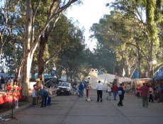 "Fiesta Del 7 de Marzo", comemorada na cidade de Carmen de Patagones, na Argentina