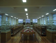 Museu Mineralgico Ignacio Domeyco, que fica dentro da Universidade de La Serena (ULS)