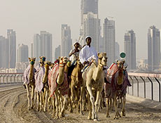 Cena insólita em Dubai mostra homens com camelos e edifícios em construção ao fundo