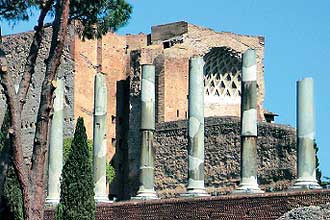 Runas do frum Romano, famoso local na cidade que era considerado o centro da vida cultural e poltica na Antigidade