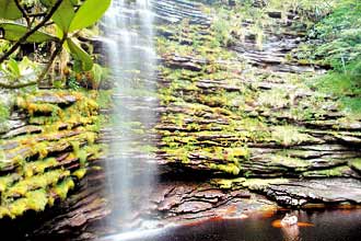Cachoeira Palmital, parte da paisagem do Parque Nacional da Chapada Diamantina, é uma das atrações do sertão baiano