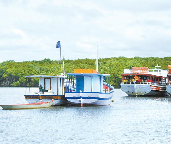 Rio Buranhém, que tem caranguejos chama-maré; passeio de canoa até ilha do Pau do Macaco custa R$ 30