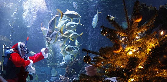 Vestido de Papai Noel, o mergulhador Thorsten Hoeppner alimenta peixes no Sea Life de Timmendorfer Strand