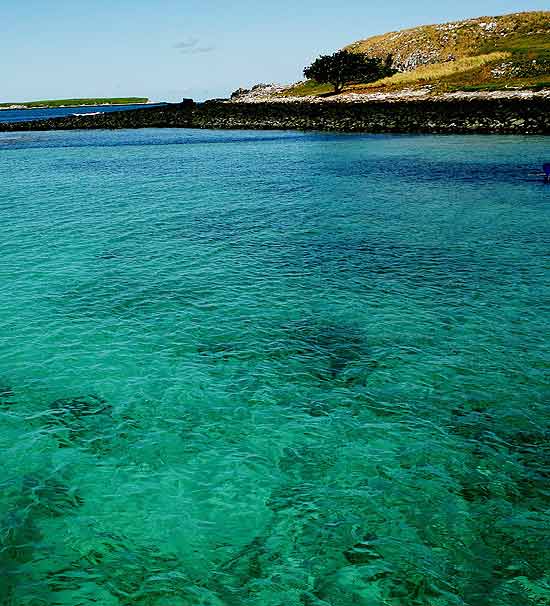Parque Nacional Marinho de Abrolhos, na Bahia; o local escolhido pelas baleias-jubartes para reprodução