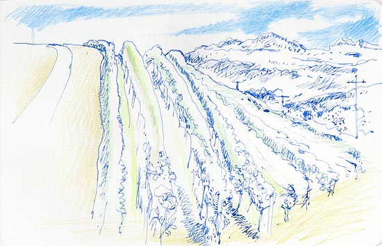 Ilustraes de Paulo von Poser retratam o Vale dos Vinhedos, na regio de Bento Gonalves