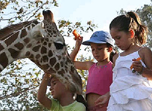 Crianças interagem com animais no zoológico Africa Mia