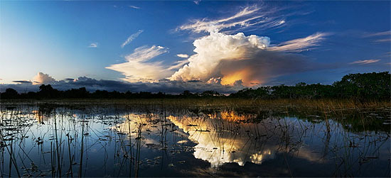 Parque Nacional de Everglades, maior reserva subtropical dos Estados Unidos
