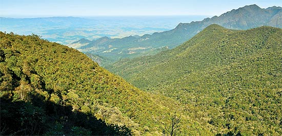 Vista da floresta e do vale do Paraíba durante subida à parte alta do parque
