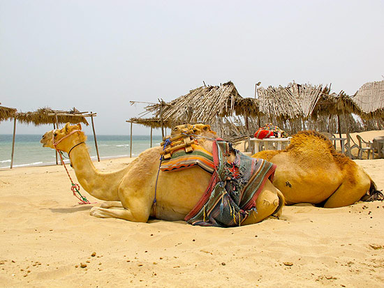 Praia junto  fronteira do Qatar com a Arbia Saudita