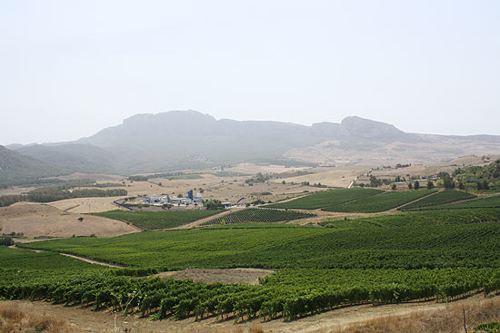Vista da vincola Cusumano, em Ficuzza, na Siclia