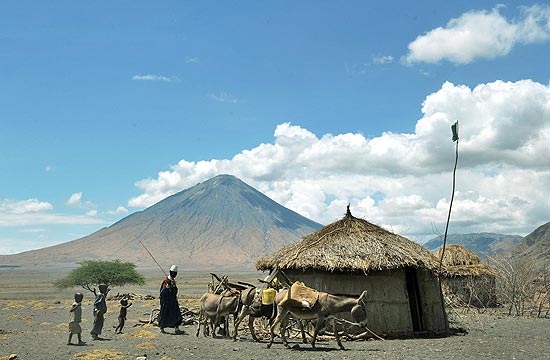 Homem caminha com burros em vila Maasai aos pés do vulcão Ol-Donyo Lengai