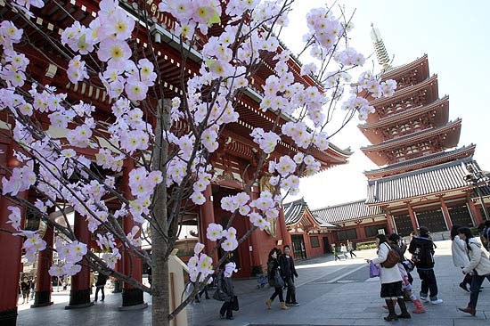 Cerejeira em frente ao templo de Sensoji, uma das principais atraes tursticas de Tquio