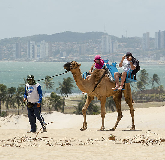 Turistas passeiam de dromedrio nas dunas de Genipabu; ao fundo,  possvel ver a cidade de Natal, capital do RN