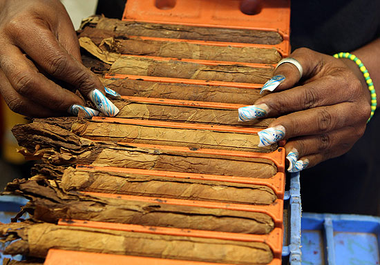 Mulher torce folhas de tabaco para fabricar charutos; planta é usada por artista cubano para fazer esculturas