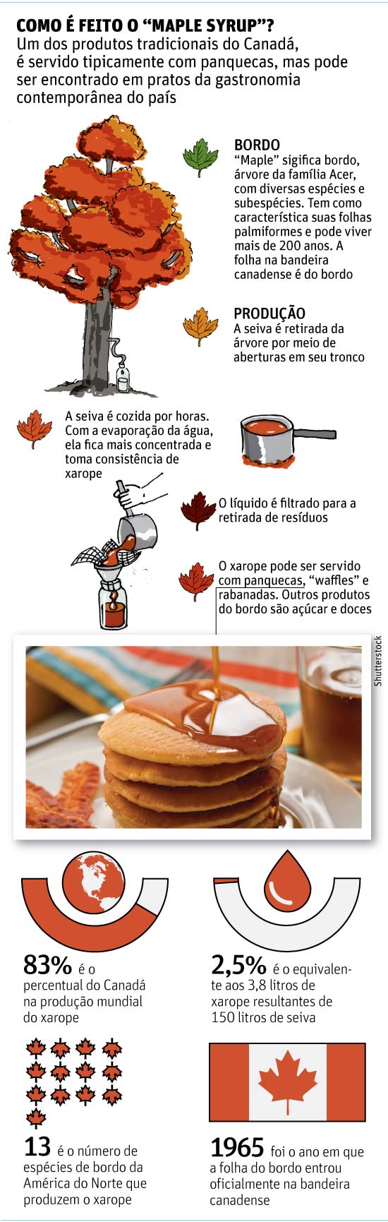 Saiba tudo sobre MAPLE SYRUP (Xarope de Bordo): A Folha da