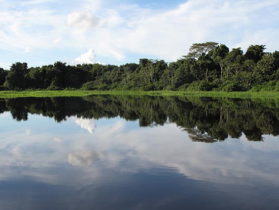 Reflexo da vegetao s margens do rio Guapor, no Estado de Rondnia