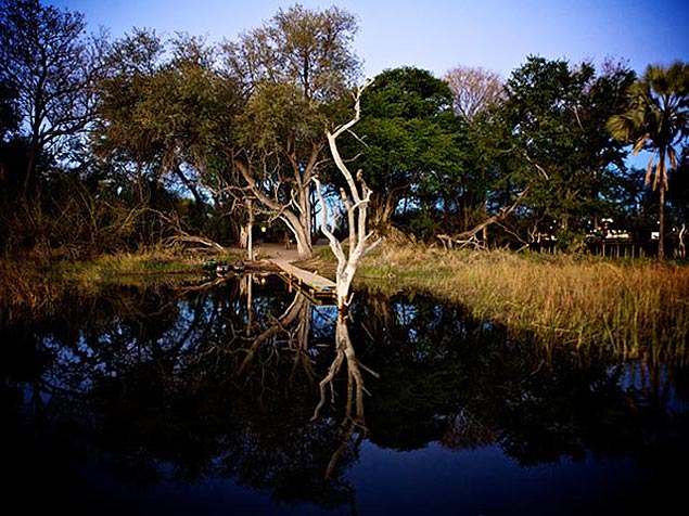 Paisagem do delta do rio Okavango, na Botsuana