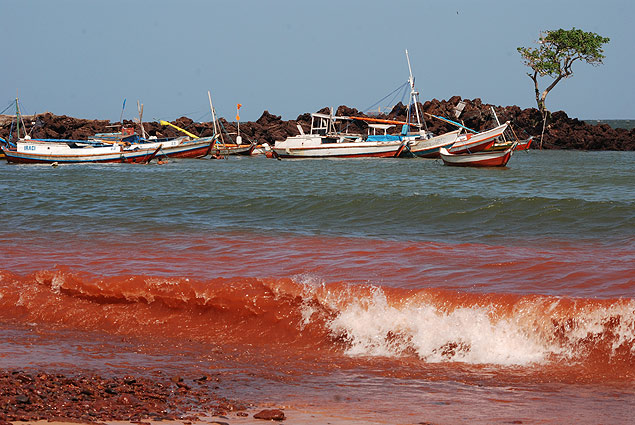 Ilha do Maraj, Par: o acmulo de sais minerais criou o efeito avermelhado na praia clicada por Ricardo D'Addio, no ano passado. Sobre o local, ele diz: "Apesar da falta de infraestrutura, vale a visita pelas belezas naturais". 