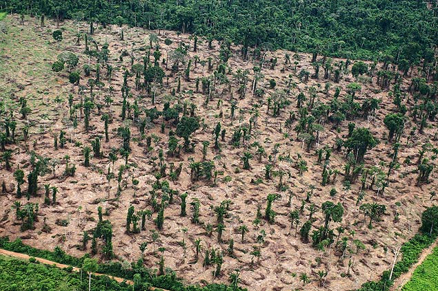 Una de las imgenes que refleja la deforestacin del Amazonas