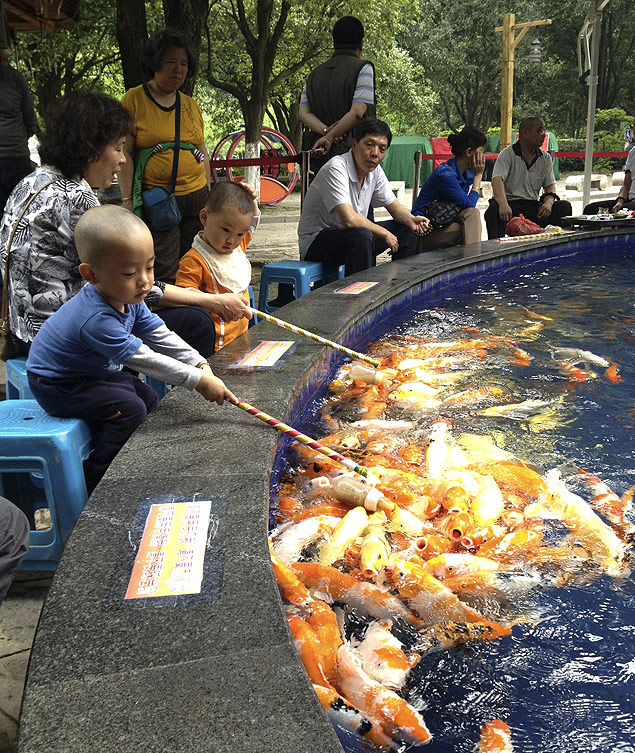 Em Xangai, a leitora Adriana Vianna ficou encantada com crianas alimentando carpas com 'mamadeiras' (canudos com rao), em viagem que fez neste ano