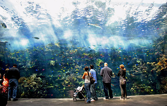 Imagem do aqurio Georgia Aquarium, em Atlanta 