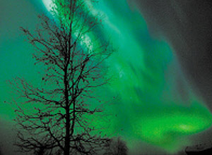 Cena de uma aurora boreal perto de Fairbanks, no Alasca