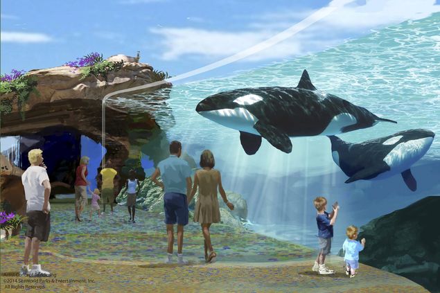An artist's rendering of Sea World's new killer whale habitat expansion project, Blue World, is shown in this handout provided by Sea World, September 25, 2015. The California Coastal Commission on Thursday is set to vote on a plan by SeaWorld San Diego to build larger tanks for its killer whales, which has drawn opposition from tens of thousands of people who say the orcas should be released instead. REUTERS/Sea World/Handout via Reuters ATTENTION EDITORS - THIS PICTURE WAS PROVIDED BY A THIRD PARTY. REUTERS IS UNABLE TO INDEPENDENTLY VERIFY THE AUTHENTICITY, CONTENT, LOCATION OR DATE OF THIS IMAGE. THIS PICTURE IS DISTRIBUTED EXACTLY AS RECEIVED BY REUTERS, AS A SERVICE TO CLIENTS. FOR EDITORIAL USE ONLY. NOT FOR SALE FOR MARKETING OR ADVERTISING CAMPAIGNS. NO SALES ORG XMIT: TOR600