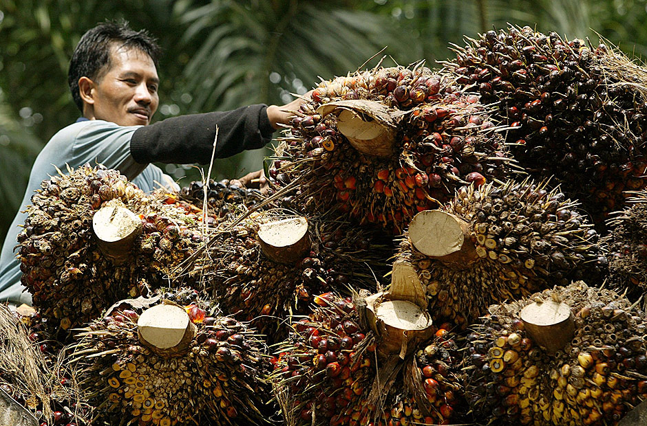Agricultor trabalha em plantao de leo de palma em Kuala Lumpur, na Malsia
