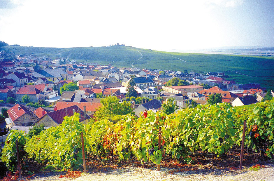 Vista de vinhedo no vilarejo de Verzenay, na rota do champanhe da regio francesa, que rene 5.000 fabricantes de vinho espumante. 