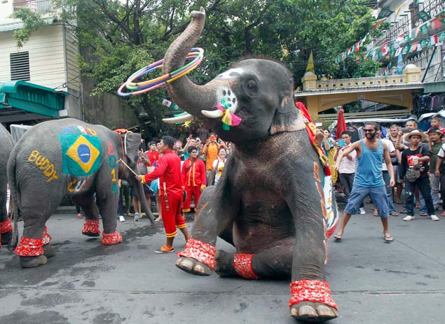 Elefante pintado com a bandeira do Brasil atrai turistas em Bancoc